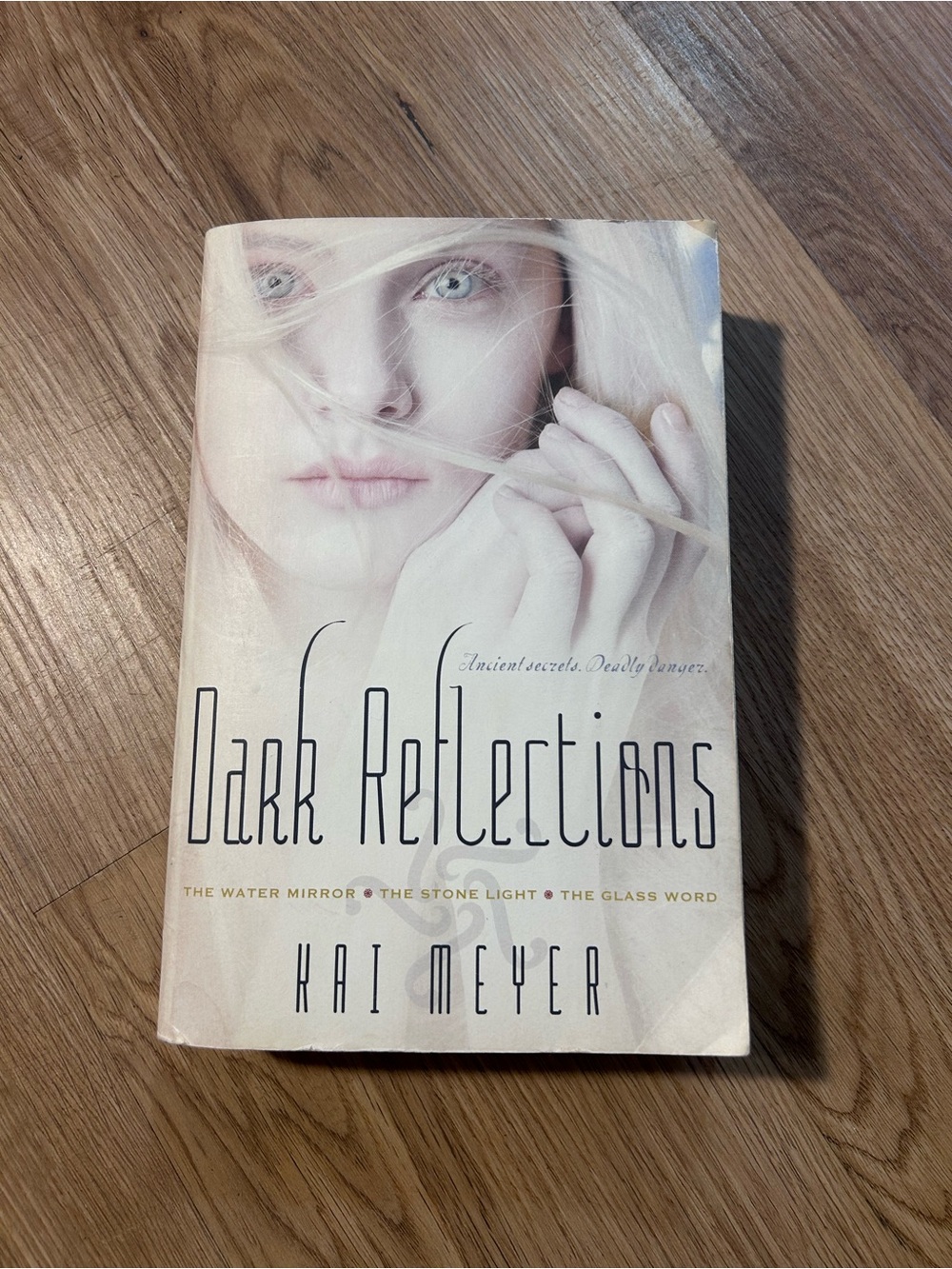 Dark Reflections Trilogy by Kai Meyer 3-in-1 YA Fantasy Paperback Omnibus